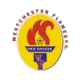 Westchester Flames